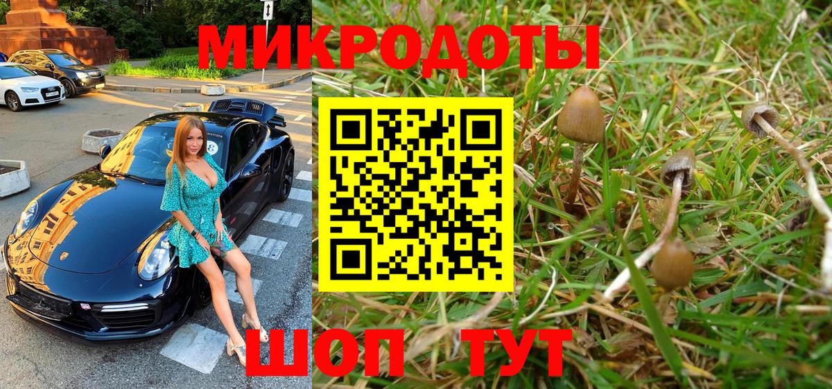 где продают   Вход с VPN  Ульяновск  Галлюциногенные грибы мухоморы 